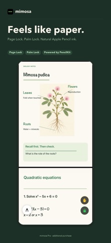 mimosa: Notes, PDF & Scanner Screenshot 1 of 8