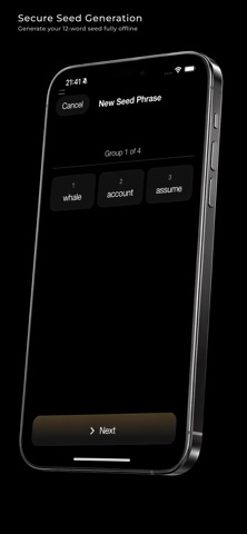 SafeVault: Offline Storage screenshot