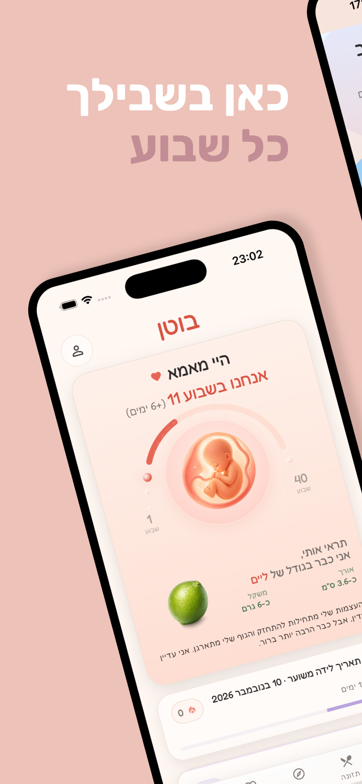 בוטן AI: מלווה הריון חכם screenshot 3