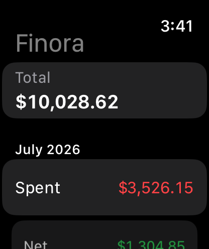Finora Budget screenshot 17