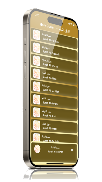 Maher Maeqli Quran mp3 offline Screenshot