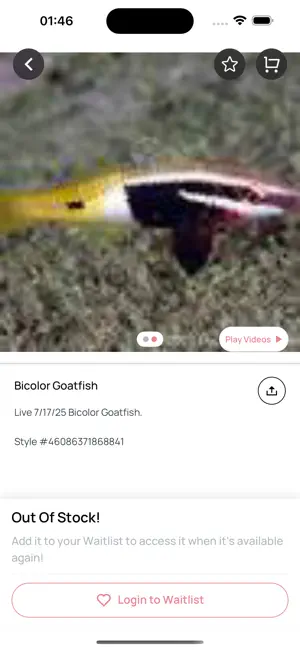 Corals Coral Live screenshot 3