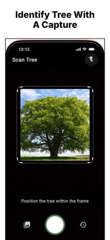 Tree Identifier: Tree Details Screenshot 1 of 3