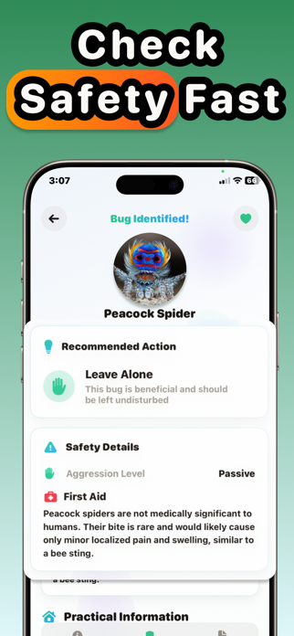 Spider Identifier:Pest Scanner Screenshot 4 of 7