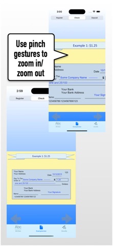 write checks screenshot