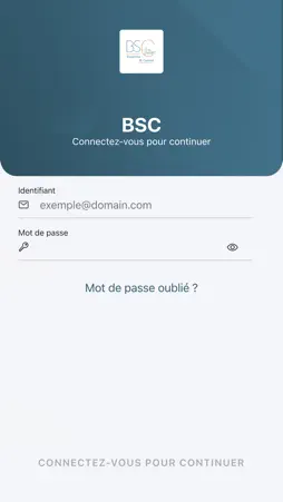BSC screenshot 2