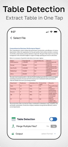 Word to Excel Converter iPhone screenshot