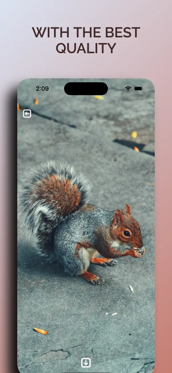Screenshot #3 pour byWallop New York