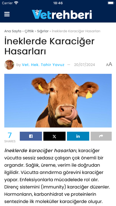 Vetrehberi Screenshot