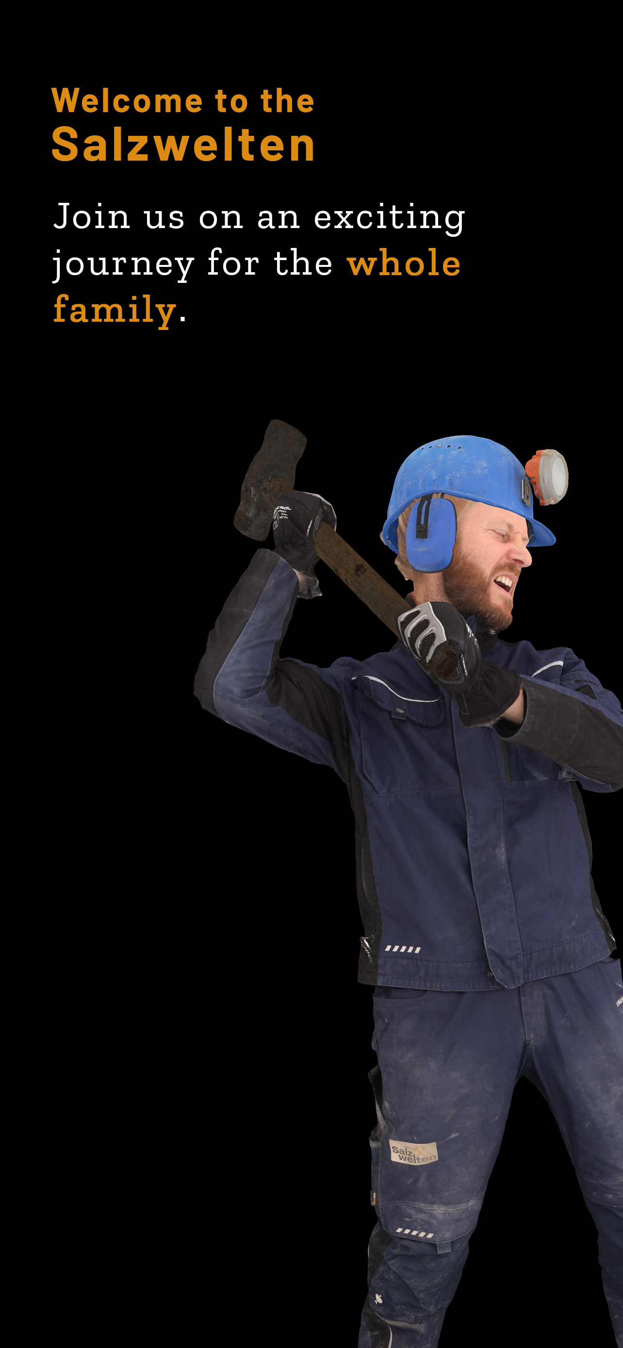 Salzwelten Destination Guide