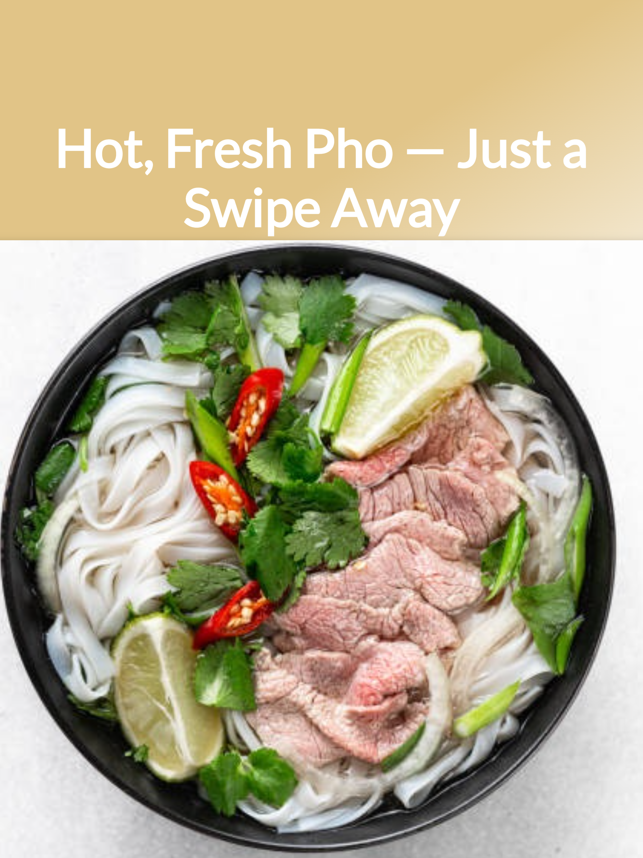 Pho Hung the Hero