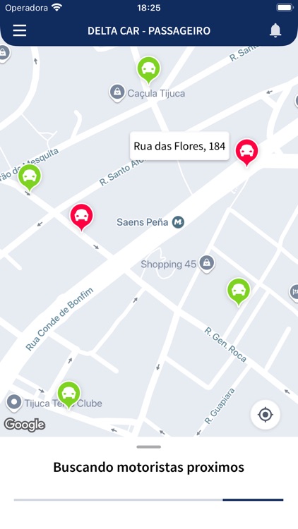 DELTA CAR - PASSAGEIRO screenshot-4