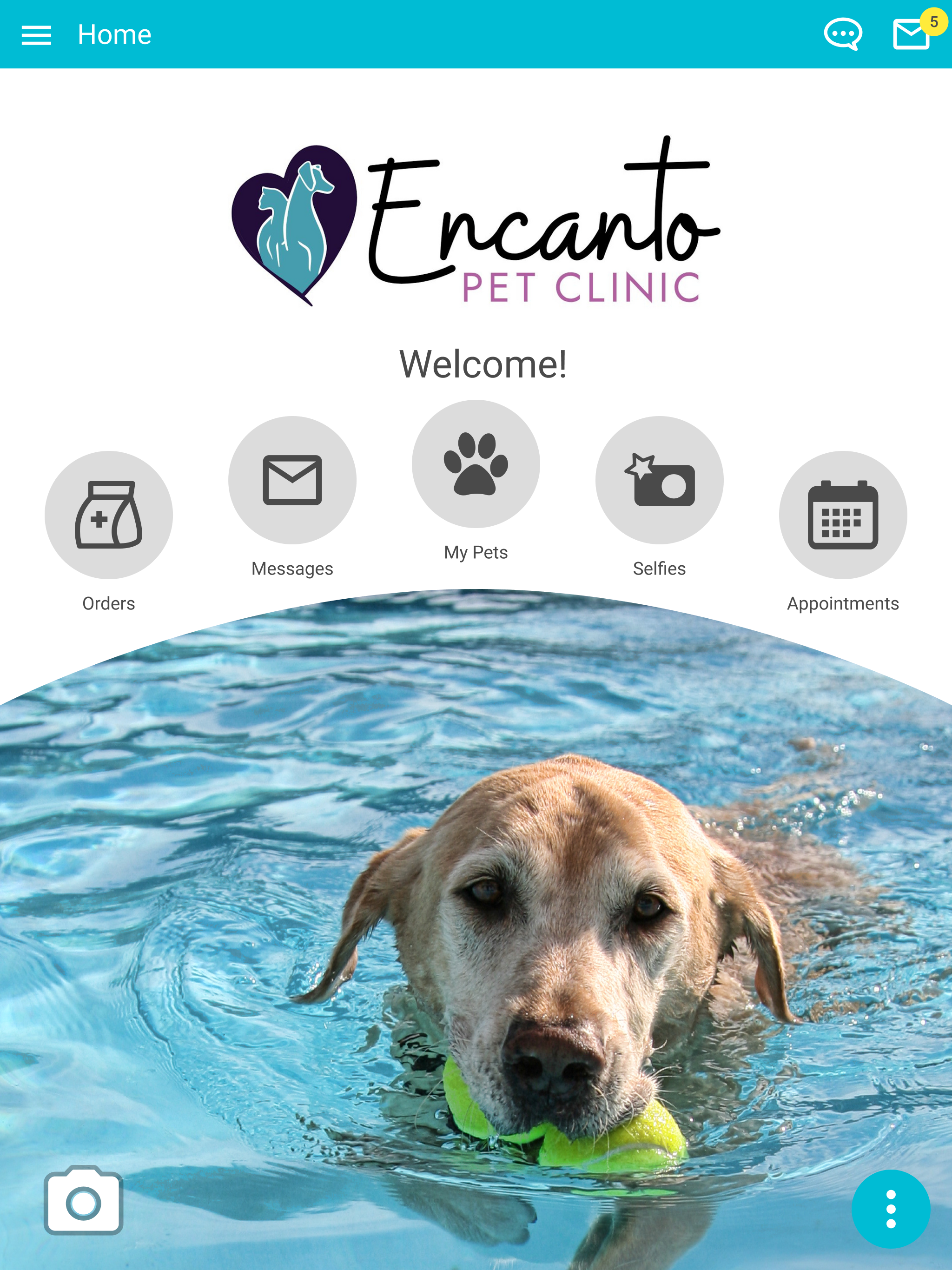 Encanto Pet Clinic screenshot 6
