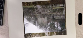 Between The Trees AR screenshot