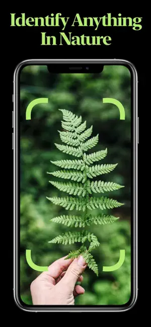 Nature Identifier screenshot 1