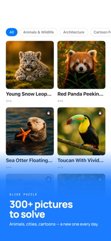 Slide Puzzle: 15 Tile Game Screenshot 1 of 6