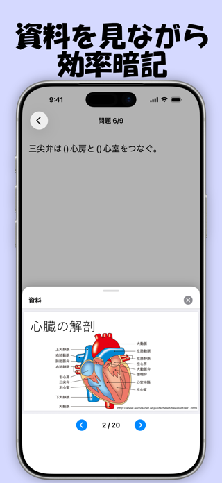 Flashnote: Flashcards app Screenshot 1 of 5
