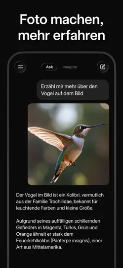 Screenshot von Grok - KI Assistent auf dem iPhone 6