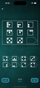 Fluid IQ test screenshot