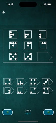 Fluid IQ test screenshot