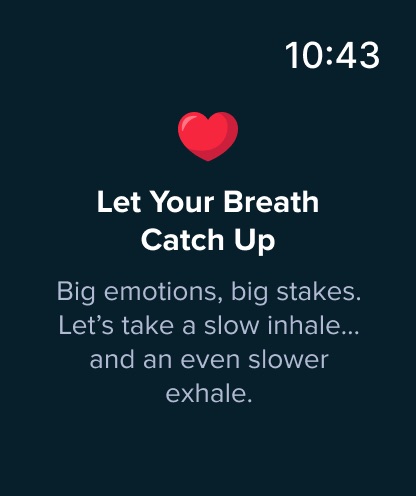 Stake US - Casino & Slots: official Apple Watch preview 9 (opens full image in a new tab)