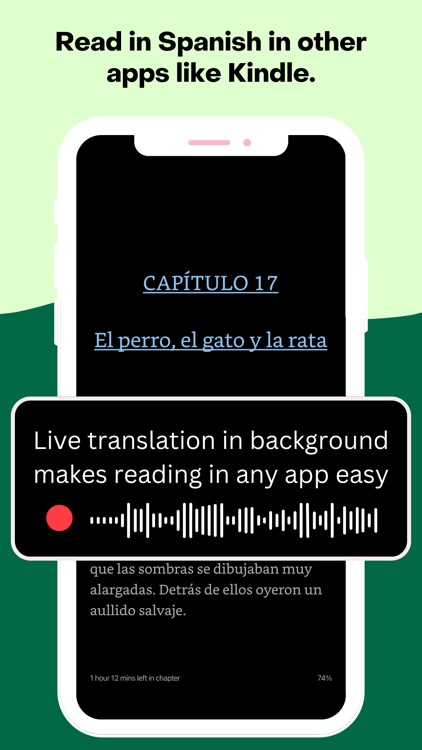 Nuance - Learn Spanish