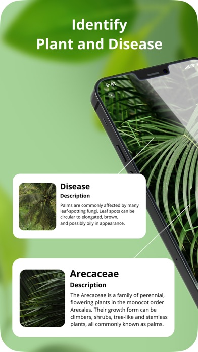 Plant Disease Identification Screenshot
