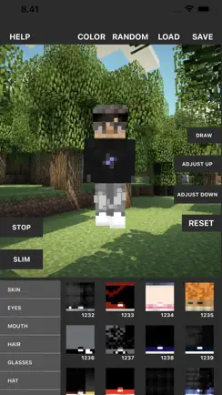 Custom Skin Creator iPhone image 4