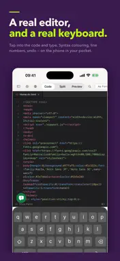 html+css+js+node+programming screenshot 2
