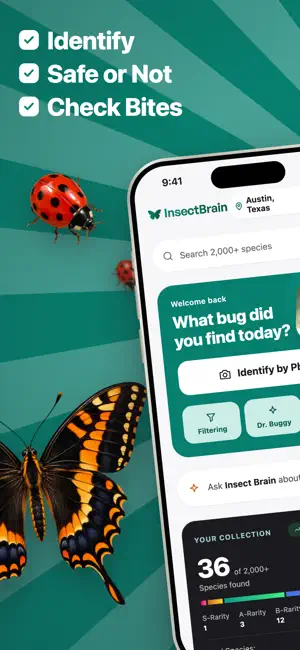 InsectBrain: Bug Identifier screenshot 1