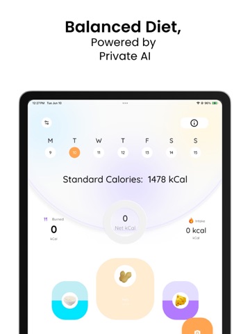 BioSight Ai Calorie Counter iPad screenshot