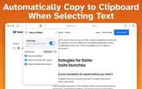 copy on select for safari айфон картинки 1