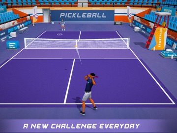 PickleBall 3d iPad screenshot