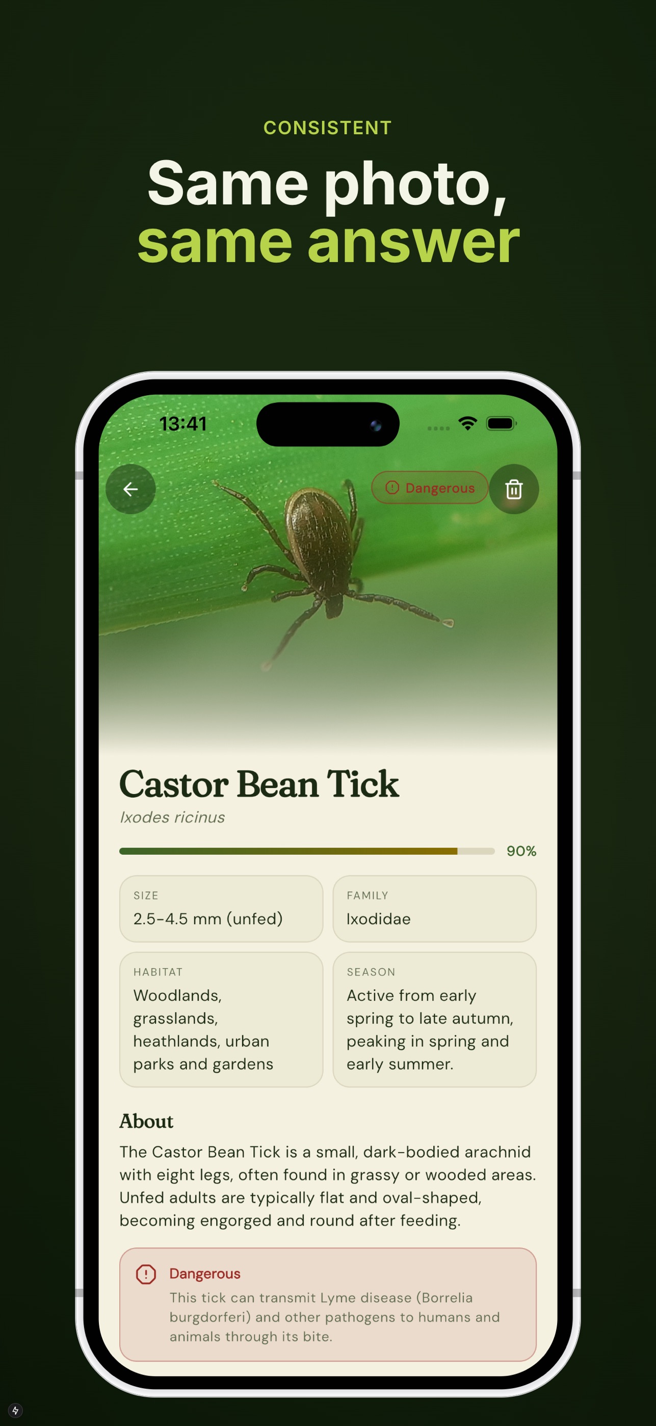 Screenshot 4 of Insect Identifier: Cicara