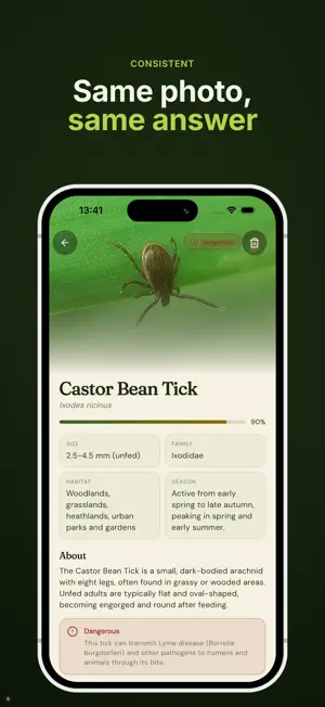 Insect Identifier: Cicara screenshot 4
