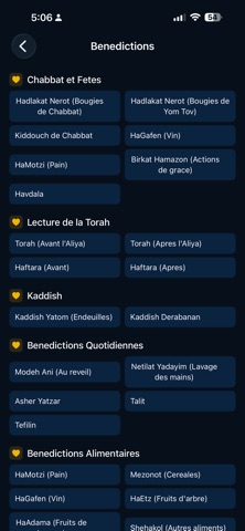 Leitpalel iPhone screenshot