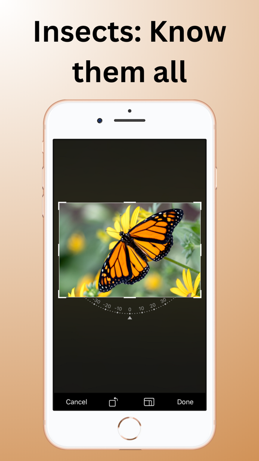 #3. Bug Identifier - Butterfly (iOS) Podle: Halis Bilal Kara