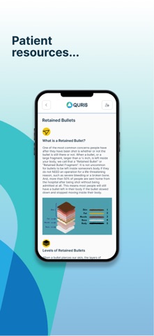 Quris screenshot