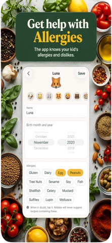 Nibbles Recipes Screenshot 4 of 8