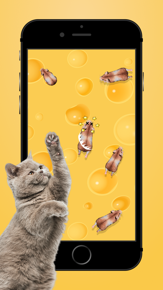 #2. Cat alone: Fish game for cats (iOS) 由: Hieu Le