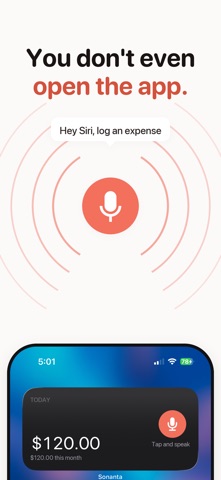 Sonanta: Voice expenses iPhone screenshot