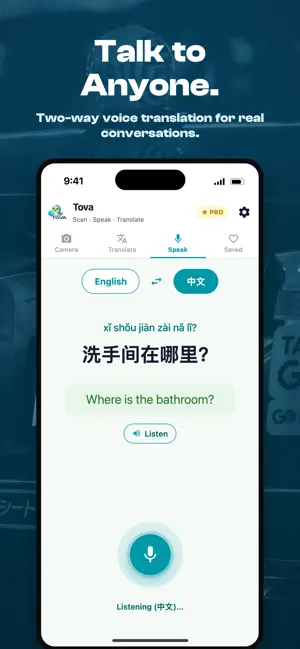 Tova Translate: Pinyin Romaji screenshot 4