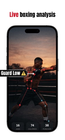 Punch AI Screenshot 2 of 3