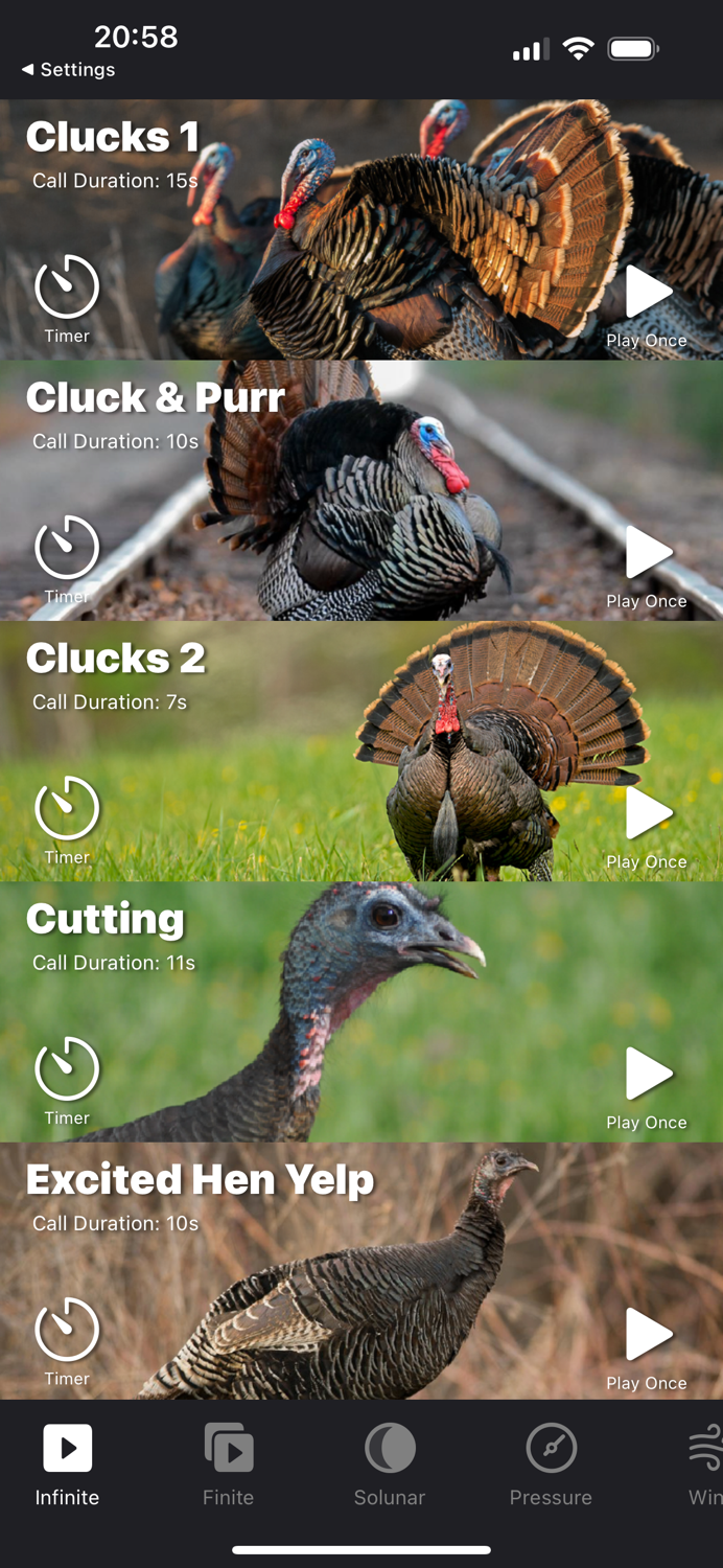 Turkey Calls for Hunting