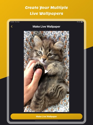 Crop Videos: Crop, Trim & Mp3 iPad screenshot