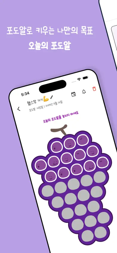 오늘의 포도알 : 습관, 챌린지 screenshot 1