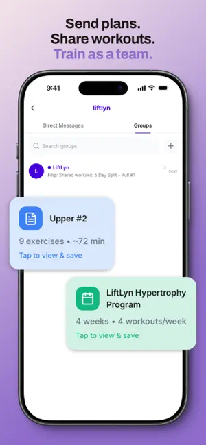 LiftLyn screenshot 3