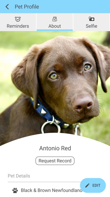 Baldwin Animal Clinic