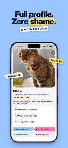 Date This Cat: Cat Dating Game screenshot 3