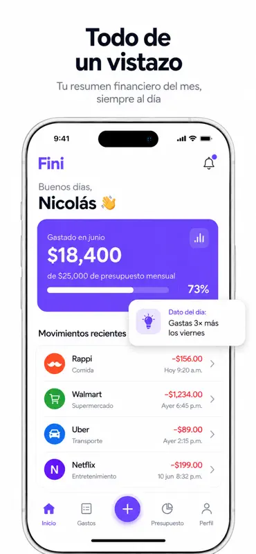 Fini: Control de Gastos screenshot 1 of 10